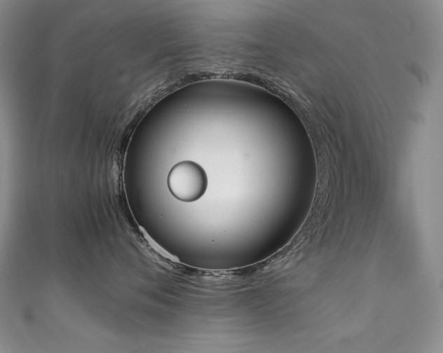 X0000111490720200907141238