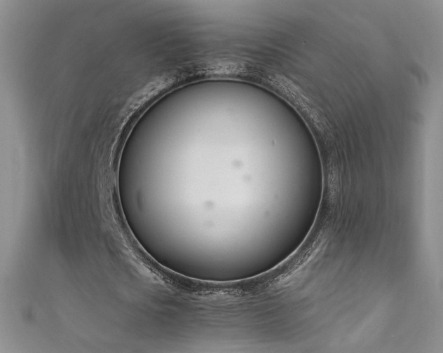 X0000111490721200907141238