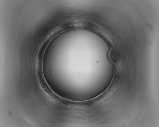 X0000111490722200907141238
