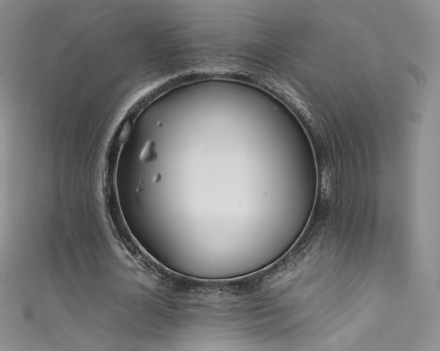 X0000111490724200907141238
