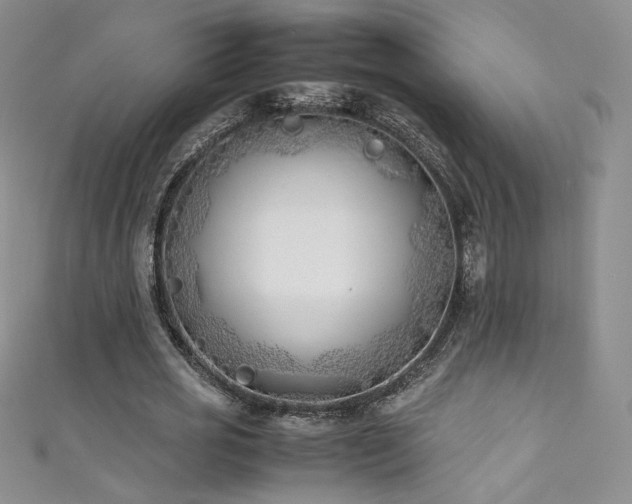 X0000111490725200907141238