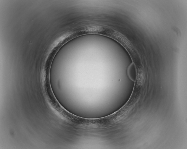 X0000111490726200907141238