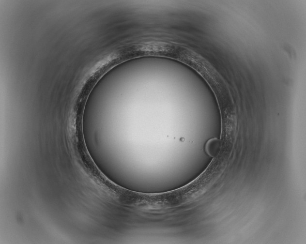 X0000111490727200907141238