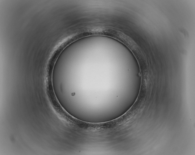X0000111490728200907141238