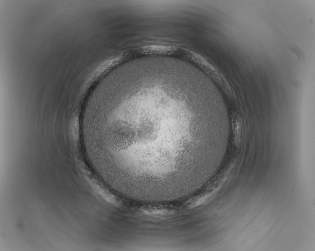 X0000111490729200907141238