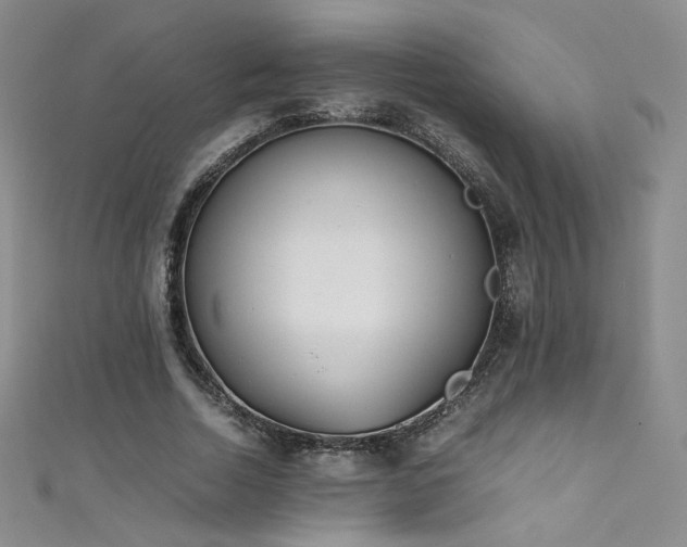 X0000111490730200907141238