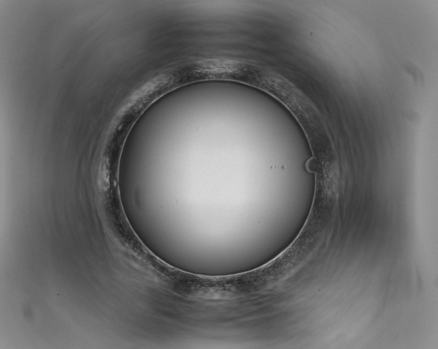 X0000111490731200907141238