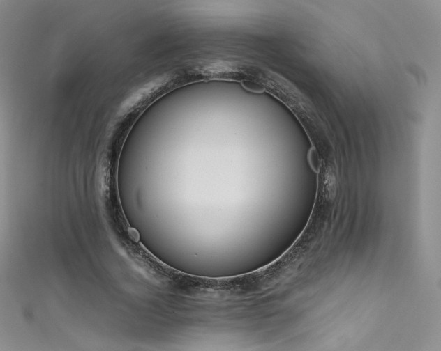 X0000111490732200907141238