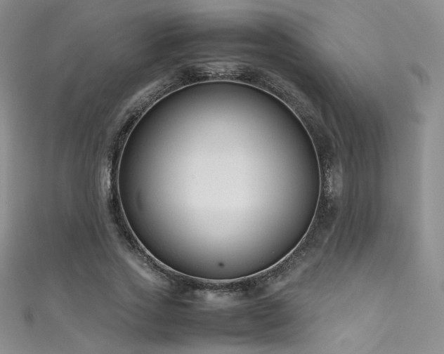 X0000111490733200907141238