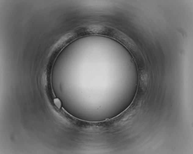 X0000111490734200907141238