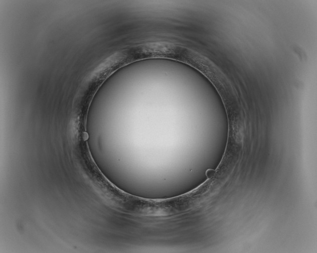 X0000111490735200907141238