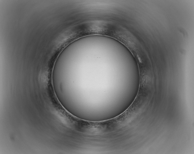X0000111490736200907141238