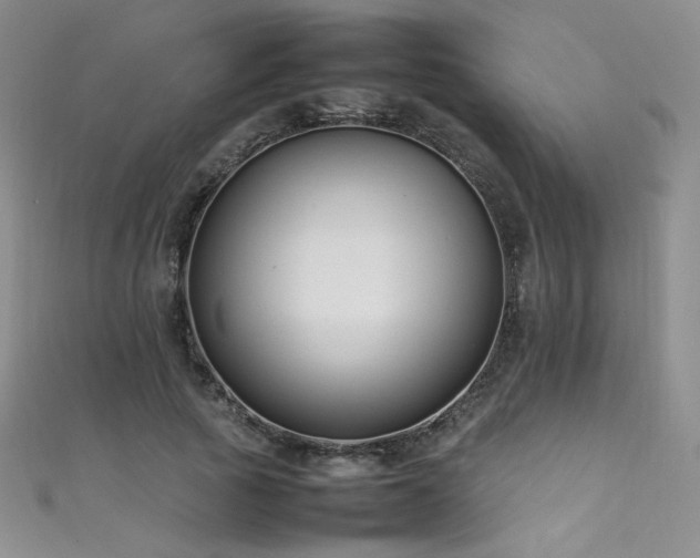 X0000111490737200907141238