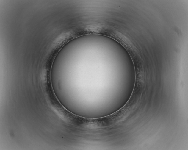 X0000111490738200907141238