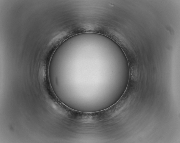 X0000111490740200907141238