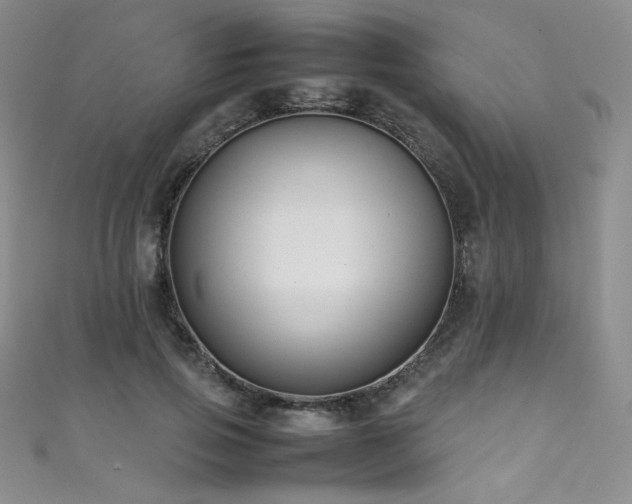 X0000111490741200907141238