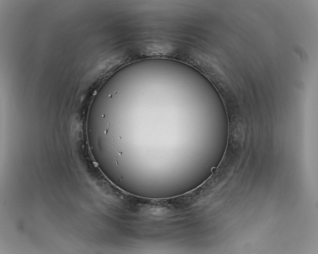 X0000111490743200907141238