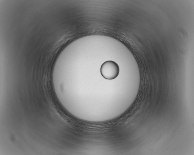 X0000111490744200907141238