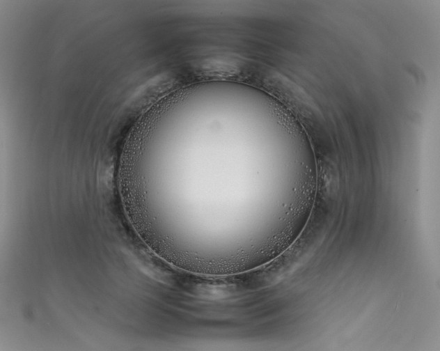 X0000111490745200907141238