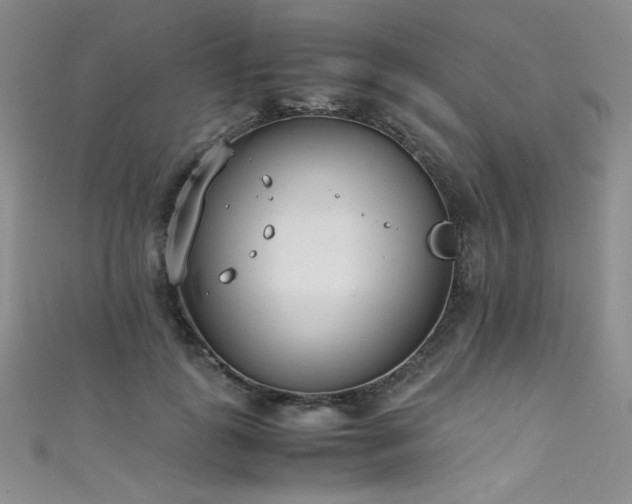 X0000111490747200907141238