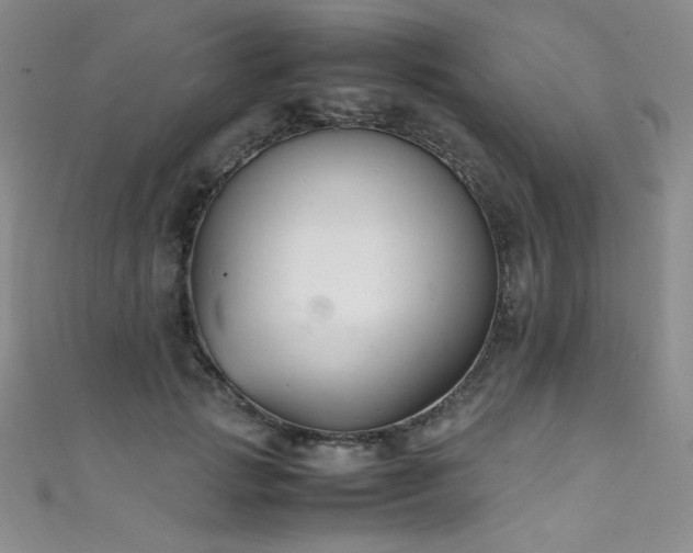X0000111490749200907141238
