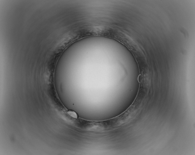 X0000111490750200907141238