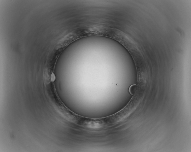 X0000111490751200907141238