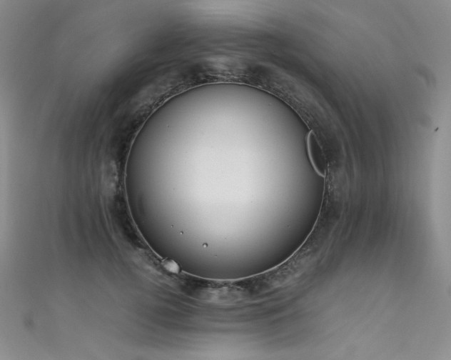 X0000111490752200907141238