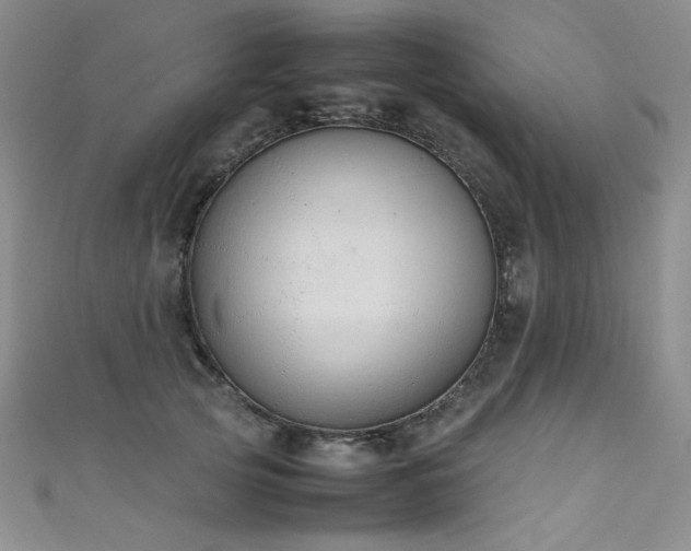 X0000111490753200907141238