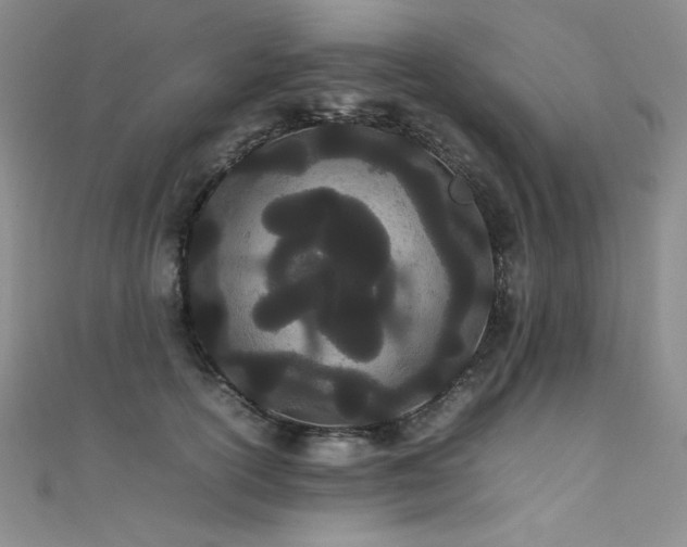 X0000111490754200907141238