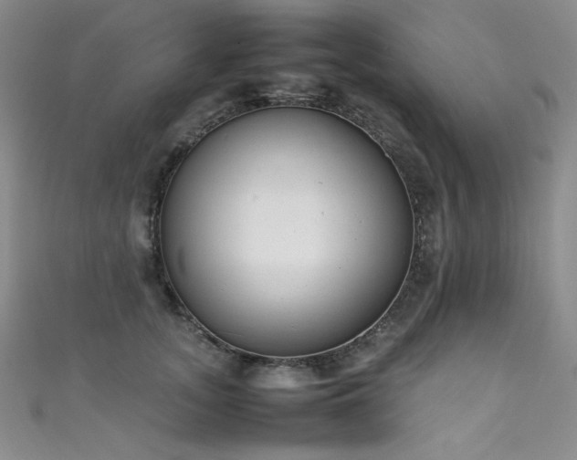 X0000111490755200907141238
