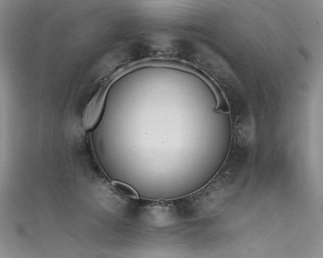 X0000111490756200907141238
