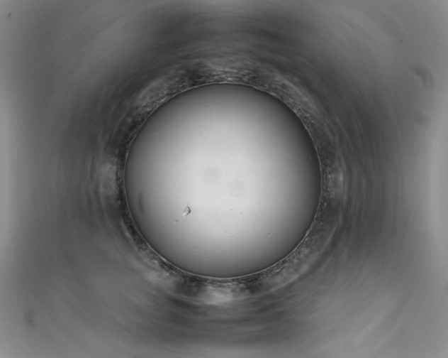 X0000111490757200907141238