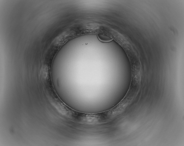 X0000111490758200907141238