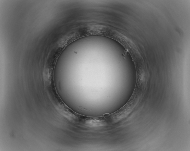 X0000111490759200907141238