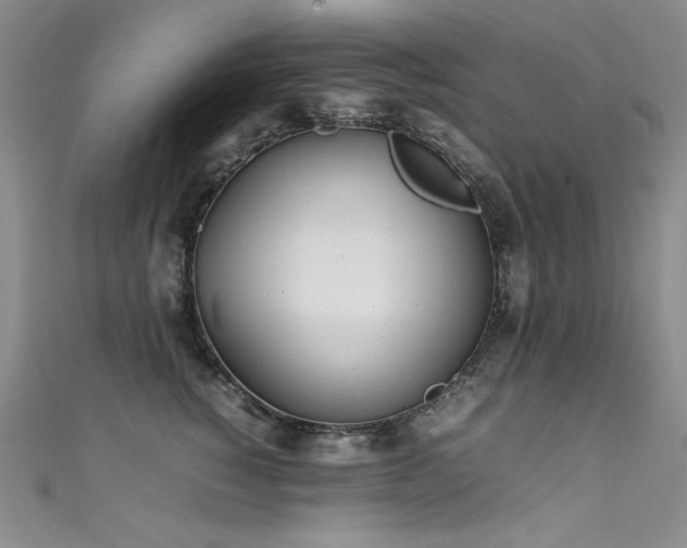 X0000111490760200907141238