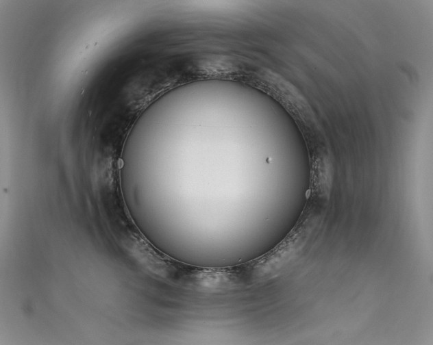 X0000111490762200907141238