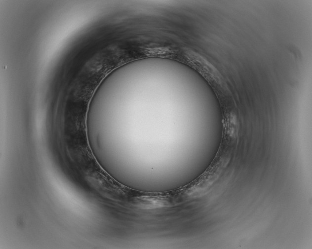 X0000111490763200907141238