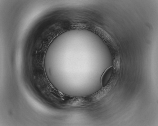 X0000111490764200907141238