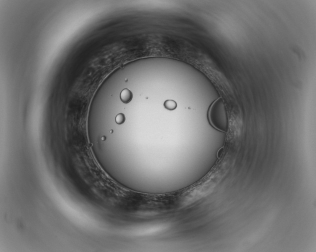 X0000111490765200907141238