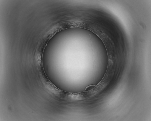 X0000111490767200907141238