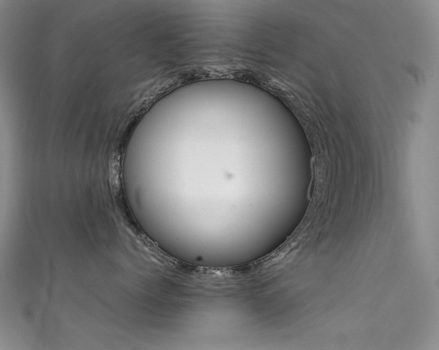 X0000111490768200907141238