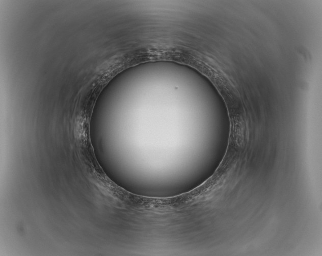 X0000111490770200907141238