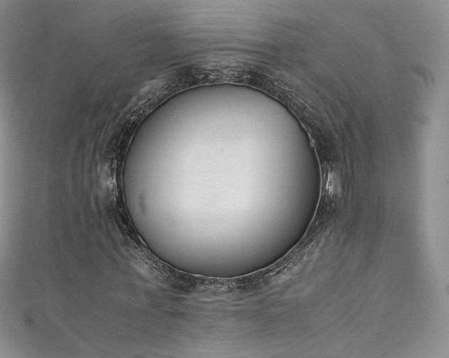 X0000111490771200907141238