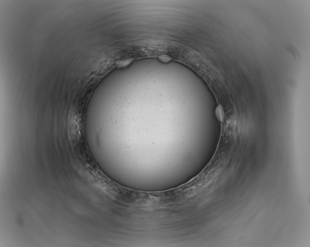 X0000111490772200907141238