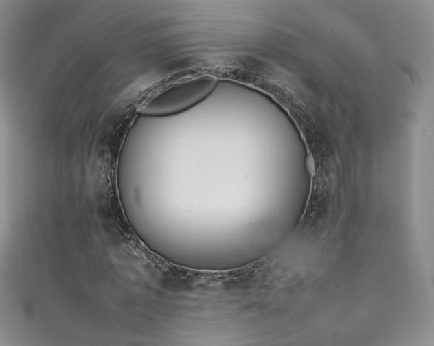 X0000111490773200907141238