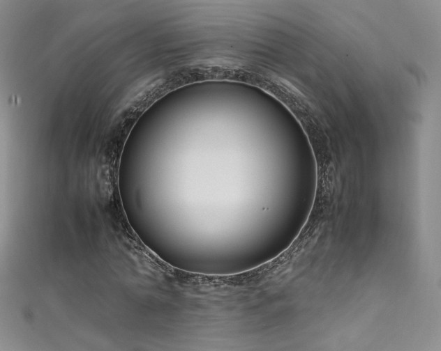X0000111490774200907141238