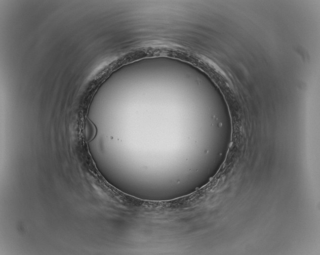 X0000111490775200907141238