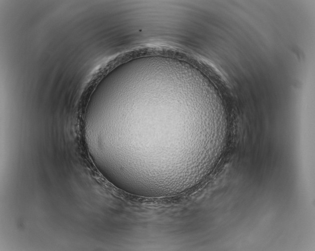 X0000111490776200907141238