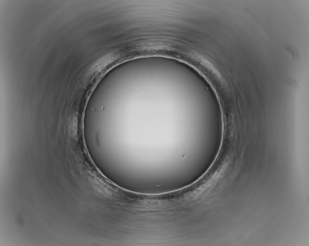 X0000111490777200907141238